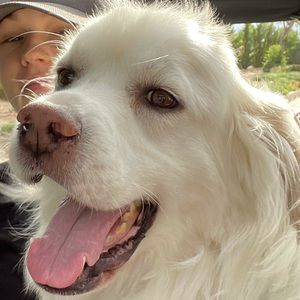 Meet your Posher, Tracy